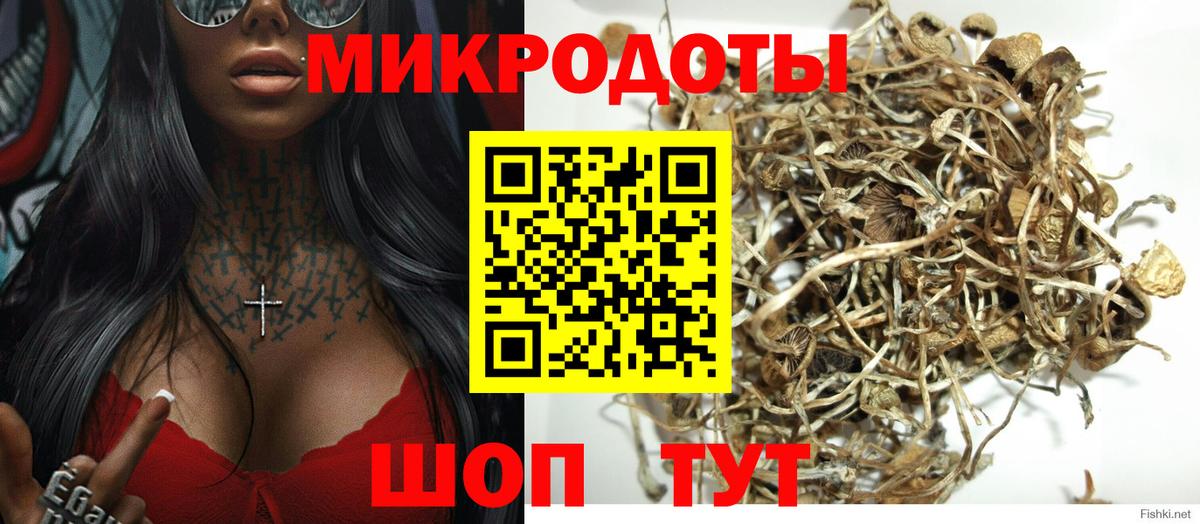 Галлюциногенные грибы мухоморы Томск